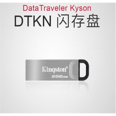 金士顿/Kingston DTKN/256G U盘/存储卡 大容量U盘 USB3.2